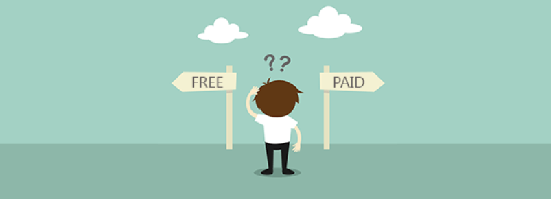 disksavvy free vs paid